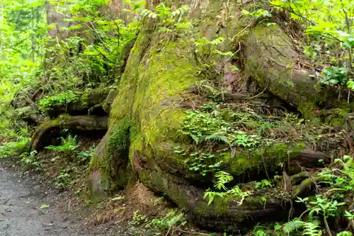 戸隠神社九頭龍社(長野県)