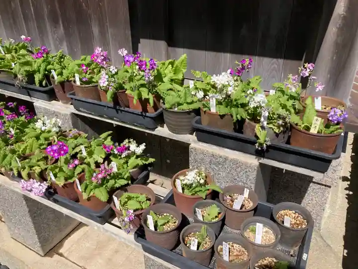 日蓮宗龍口山本龍寺(神奈川県)