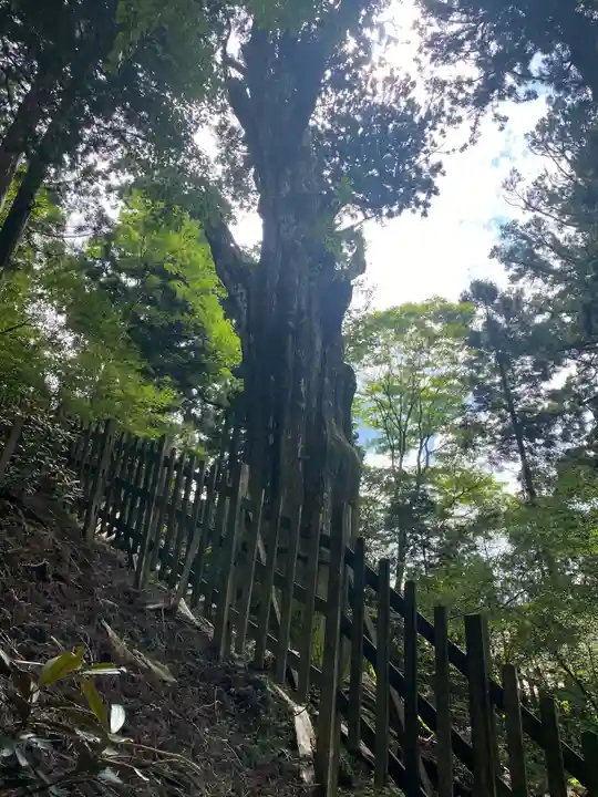 玉置神社(奈良県)