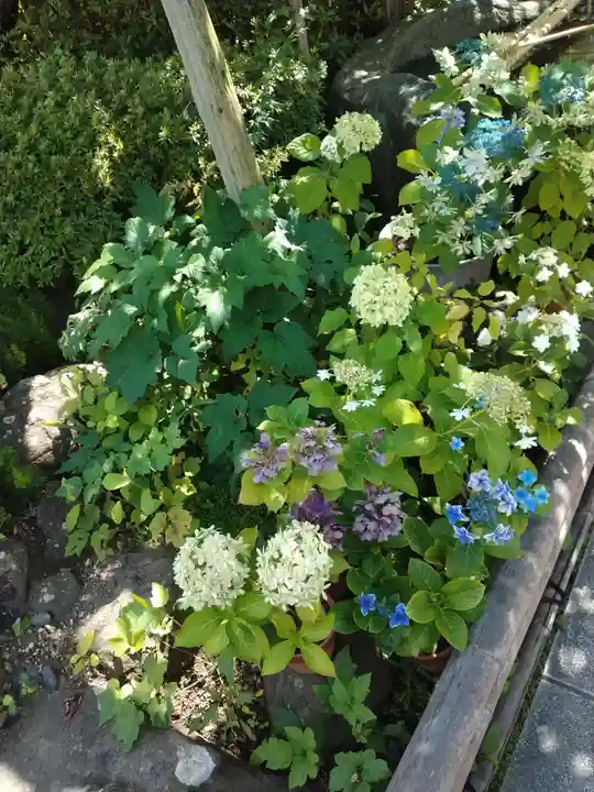 長谷寺(神奈川県)