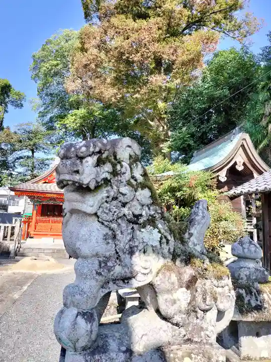 保津八幡宮社(京都府)