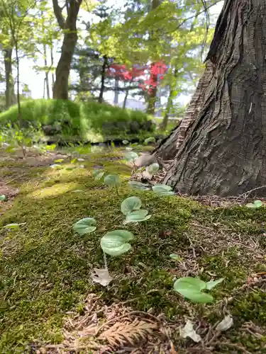 浪岡八幡宮(青森県)