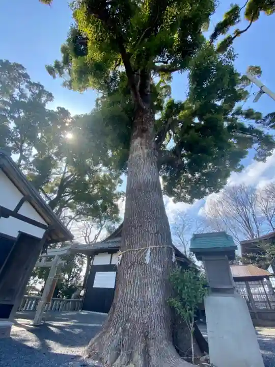 玉田神社の自然
