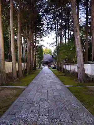 國分寺(高知県)