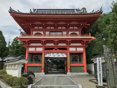 金泉寺の山門