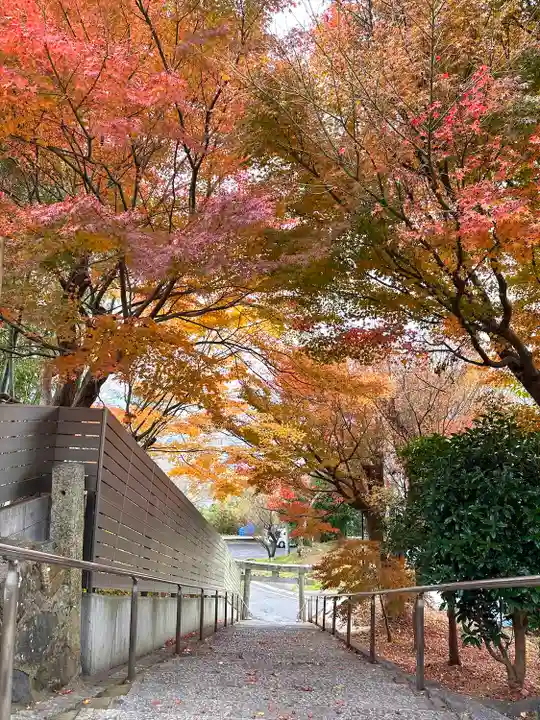 足立山妙見宮(御祖神社)(福岡県)