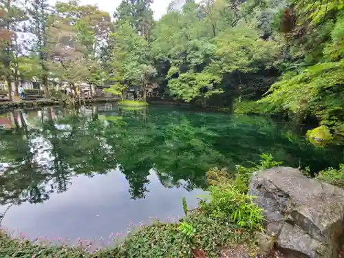 磯山弁財天の庭園