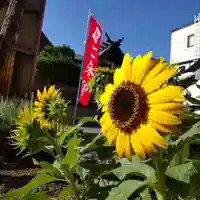 七重浜海津見神社の自然