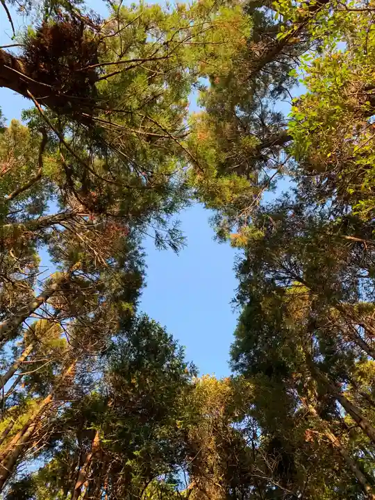 羽生神社の自然