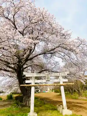 鹿嶋神社(茨城県)