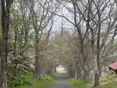 釧路一之宮 厳島神社(北海道)