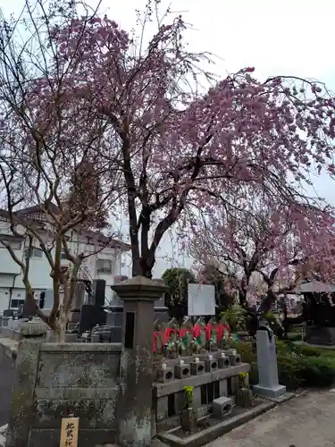 月心院(福島県)