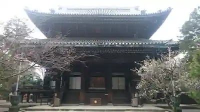 知恩院の本殿・本堂