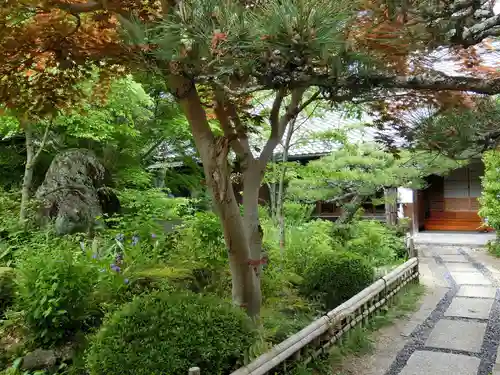 當麻寺 宗胤院の庭園