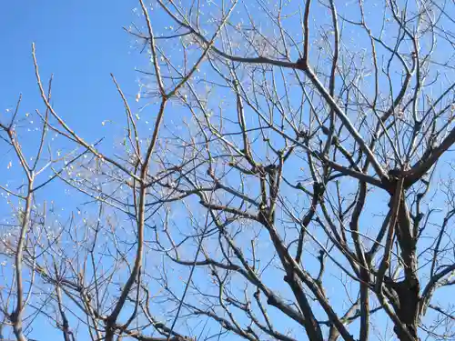 吉祥寺(東京都)