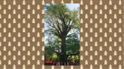 鬼子母神堂　(法明寺）(東京都)