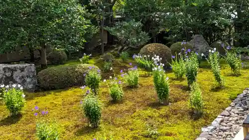 天得院(京都府)