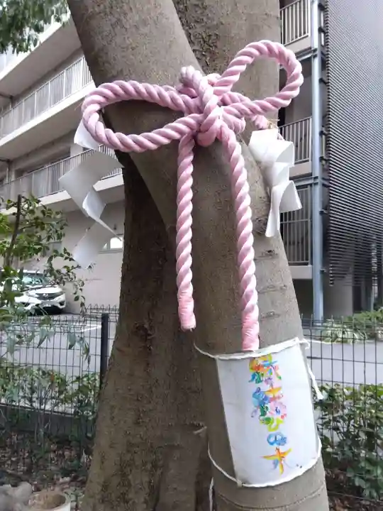 伊和志津神社(兵庫県)