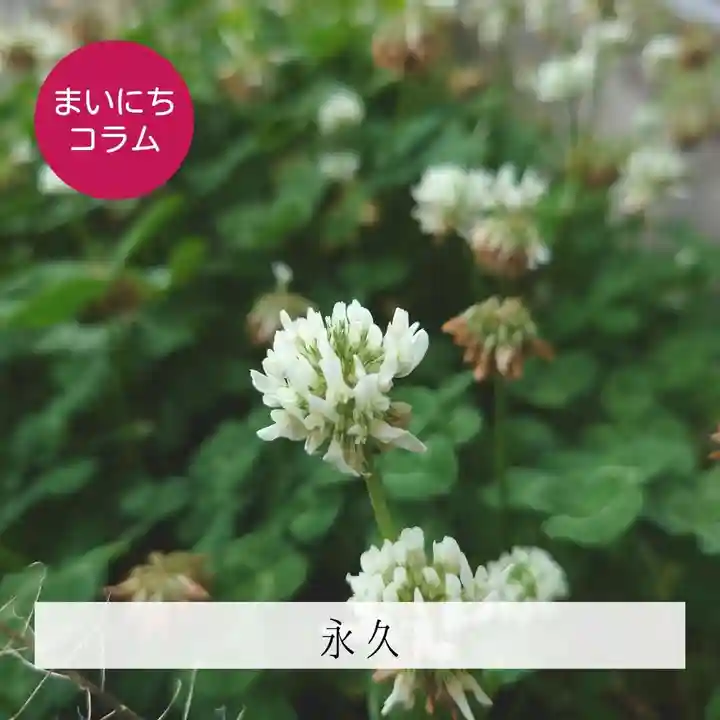 壽徳寺 じゅとくじ(福島県)