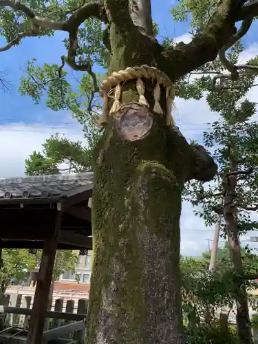 出町妙音堂の庭園