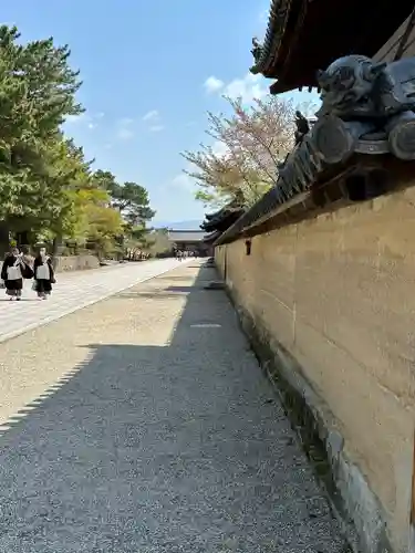 法隆寺(奈良県)