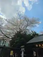 櫻木神社(千葉県)