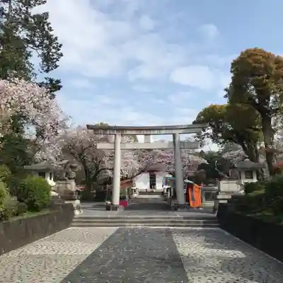 富士山本宮浅間大社の鳥居