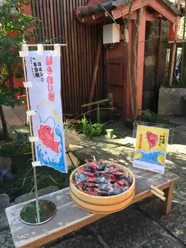 陽運寺のおみくじ