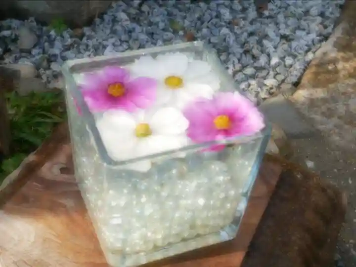 般若寺 ❁コスモス寺❁(奈良県)