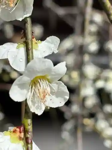 天龍寺(京都府)