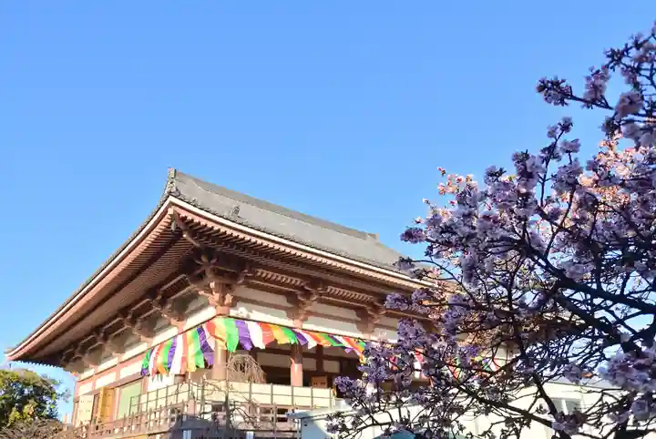 西新井大師総持寺(東京都)