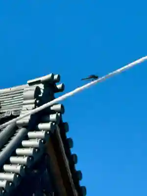 西導寺(京都府)