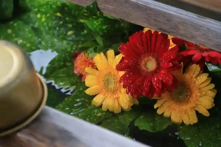 豊景神社の手水舎