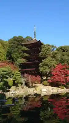 瑠璃光寺(山口県)