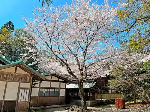 小津神社の自然