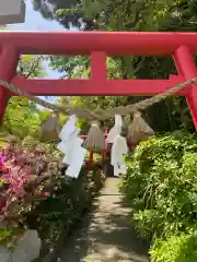 菊池神社の鳥居