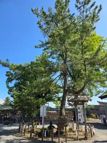 阿蘇神社(熊本県)