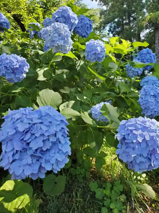 赤城神社(群馬県)