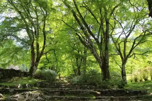 高源寺の自然