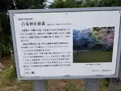 白兎神社の歴史