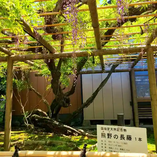 行興寺(静岡県)