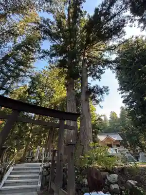 八海神社(新潟県)