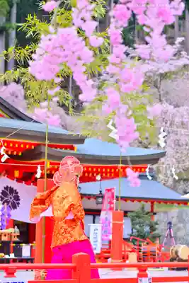 金櫻神社(山梨県)