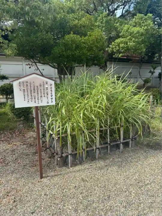無量寿寺(愛知県)