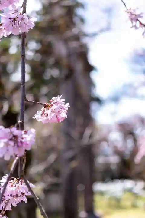 北野天満宮(京都府)