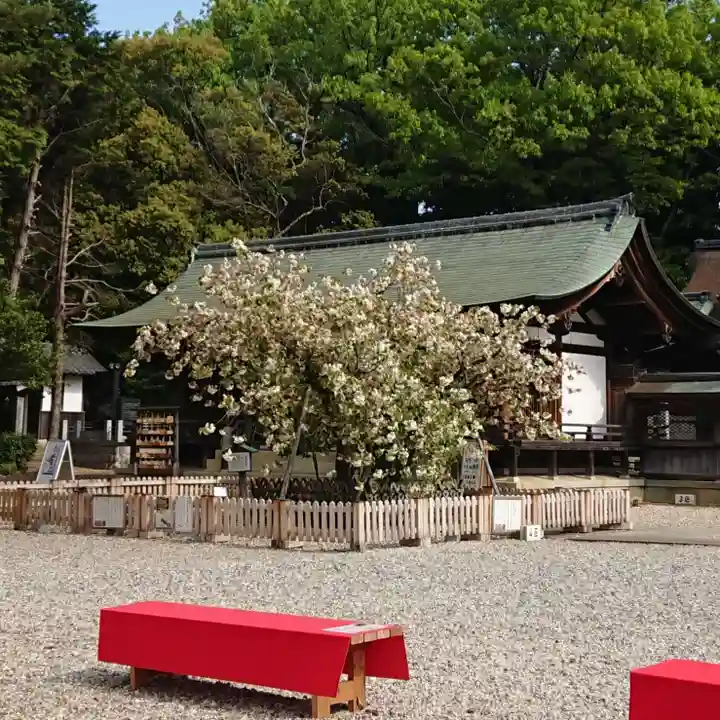 上地八幡宮のその他建物