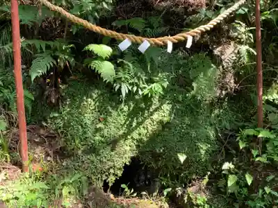 常磐神社の自然