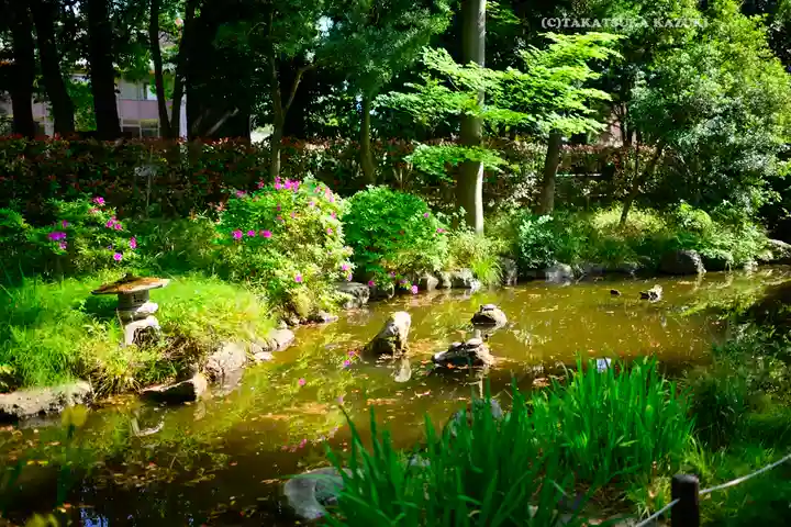 和樂備神社(埼玉県)