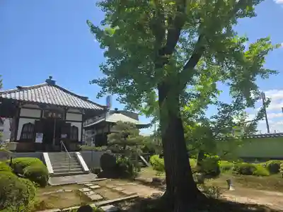 単伝庵(京都府)