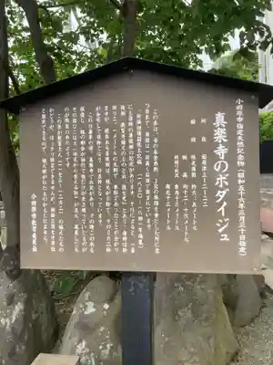真楽寺(神奈川県)
